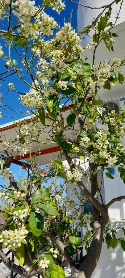 Silvi Mari Apartments Платанес Экстерьер фото
